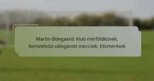 Martin Ødegaard: Klub mérföldkövek, Nemzetközi válogatott meccsek, Elismerések