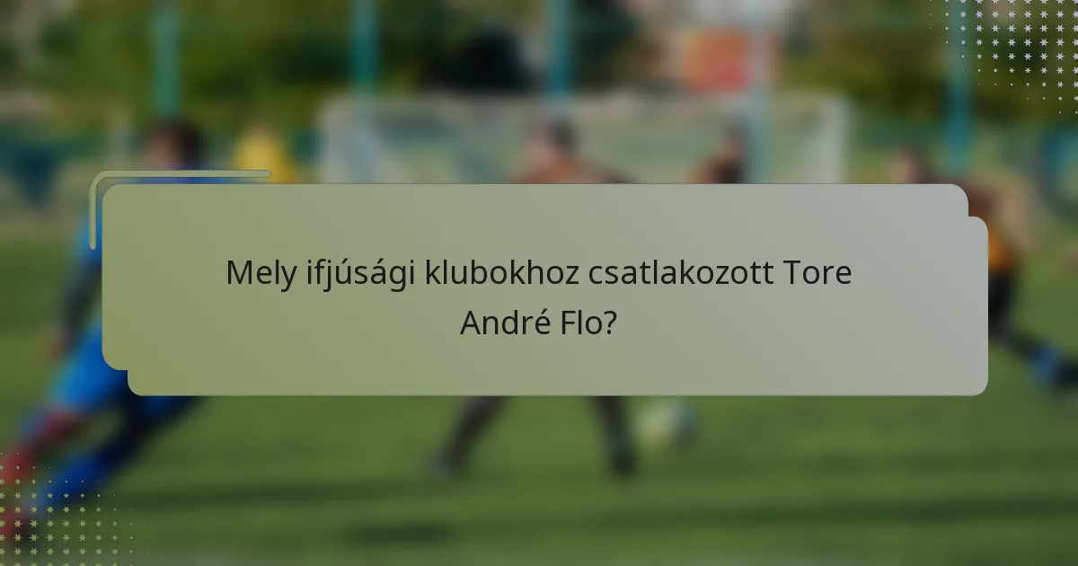 Mely ifjúsági klubokhoz csatlakozott Tore André Flo?