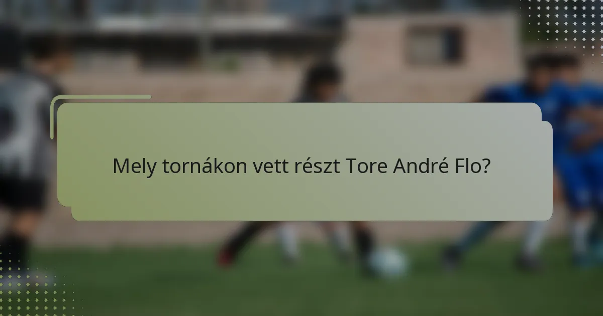 Mely tornákon vett részt Tore André Flo?